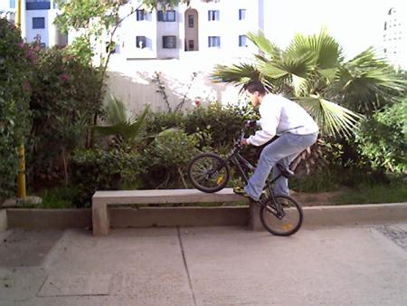 the bmx